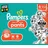 138 St. Paw Patrol Edition