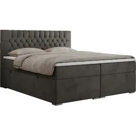 MKS Meble Boxspringbett 200 x 200 cm H3 Dunkelgrau