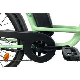 Llobe Town Compact 26 Zoll RH 46 cm Unisex grün