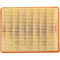 Hiflofiltro Luftfilter HFA6509 für Triumph 900/1200 2017-