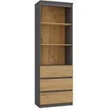Topeshop Bücherregal 60 x 30 x 180 cm Grau