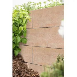 Diephaus Mauerstein T-Wall Slope 50 x 25 cm beige