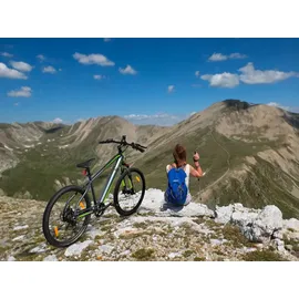 Sachsenrad R8 Ranger 27,5 Zoll RH 48 cm Unisex grau