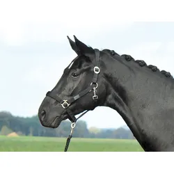 Busse Halfter SUPREME