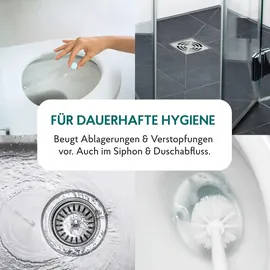 HAKA WC-Reiniger Tabs 30 St.