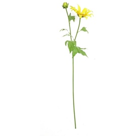 Hti-Living Kunstblume Frühlingsblume 74 cm Kunstblume Flora unbekannt, HTI-Living, Höhe 74 cm gelb