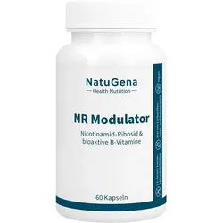 NR MODULATOR Nicotinamid-Ribosid+B-Vitamine Kaps. 60 St.