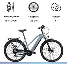Zündapp Z810 2023 28 Zoll RH 155 cm Damen grau