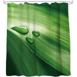 Sanilo Duschvorhang Green Leaf 180 x 200 cm grün