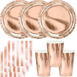 Party Deko Set roségold Einweggeschirr für 12 Personen Teller, Becher, Servietten