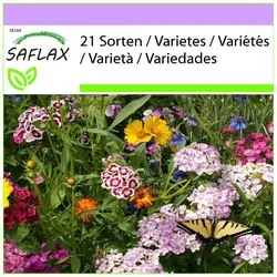 SAFLAX - Vogel- und Schmetterlingsmischung - 1000 Samen - 21 Wildblumenmischung