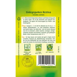 Quedlinburger Einlegegurke Restina F1