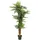Europalms Areca Palme, Kunstpflanze, 170cm