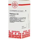 DHU-ARZNEIMITTEL PHYTOLACCA C30
