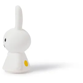 Mr Maria Miffy Shines