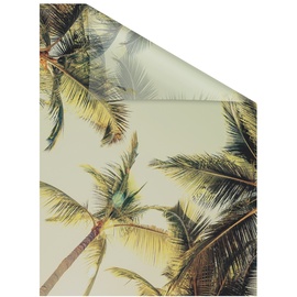 Lichtblick Fensterfolie Palmen und Sonne - Grün 100 x 130 cm (B x L)