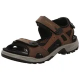ECCO Offroad Herren espresso/cocoa 46