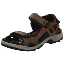 ECCO Offroad Herren espresso/cocoa 46
