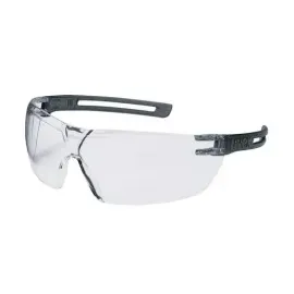 Uvex x-fit 9199085 Schutzbrille inkl. UV-Schutz Grau, Transluzent