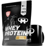 1kg Mammut Whey Protein Eiweißshake - Set inkl. Protein Shaker, Riegel, Powderbank oder Tasse (Salted Peanut, Mammut Keramik Tasse)