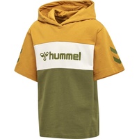 hummel Hmlcloud Hoodie S/S - Grün - 128