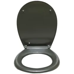 sanicomfort WC-Sitz, Duroplast, mit Absenkautomatik, Toilettensitz passend für alle handelsüblichen WC-Becken (anthrazit)