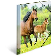Herma Sammelmappe Tiere A4 pferde
