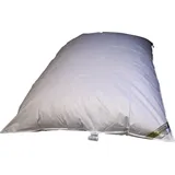 Betten Hofmann Bella Star Oberbett Federbett Ballonbett Winterbett 155x220 cm 3000 g warm