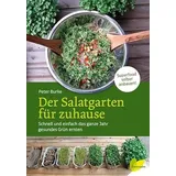 löwenzahn verl. Der Salatgarten für zuhause