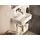 Hansgrohe Xanuia Q Handwaschbecken 45 x 34 cm 60231450