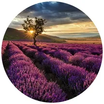 wall-art Runde Vliestapete 140 cm x 14 m 300 g lila/weiß/mehrfarbig 34193