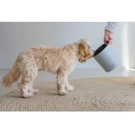 Designed by Lotte Behälter Canisto hellgrau