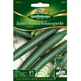 Quedlinburger Gewächshaus-Salatgurke Saladin Loses Saatgut