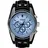 Fossil Coachman
