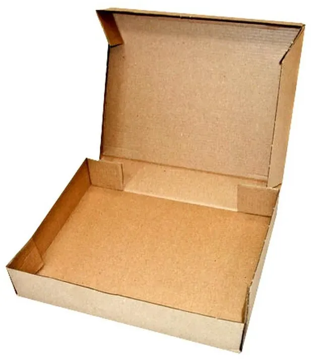 100 Stück Maxibriefkarton Faltkarton 255 x 200 x 46 mm