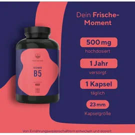 True Nature Vitamin B5 Kapseln 365 St.