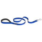 Ferplast Guinzaglio per Cani DAYTONA, Guinzaglio per Cani Taglia Piccola in Nylon, 120 cm, con Comoda Impugnatura Imbottita e Moschettone in Metallo.