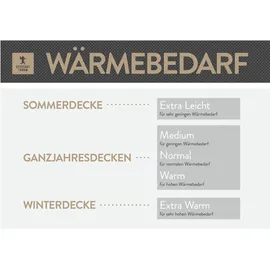 SPESSARTTRAUM Daunendecke Platin extra leicht Sommerdecke (Größe: 200x200 cm