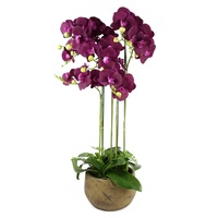 Leaf Design UK Realistische künstliche Orchidee im Topf, 80 cm