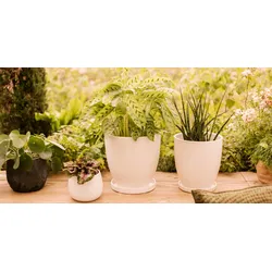 Wikholm form Design Pflanzgefäß / Blumentopf cremeweiß ⌀ 37 x H 32 cm