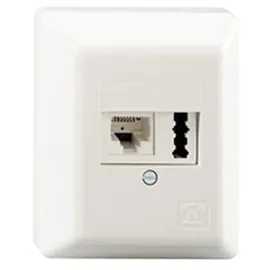 Rutenbeck Anschlußdose TAE6 F+N Ap rw IAE/UAE8(6)#13311101