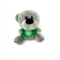 Celtic FC - Teddybär "Timmy" SG22135 (Einheitsgröße) (Grau/Grün) - Grau