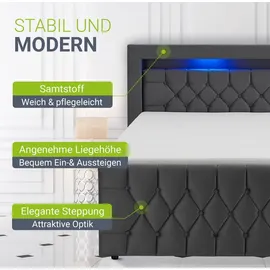 Juskys Boxspringbett Leona - Samt & Grau
