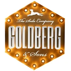 GOLDBERG & SONS Vintage Light