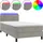 vidaXL Boxspringbett 100 x 200 cm Hellgrau