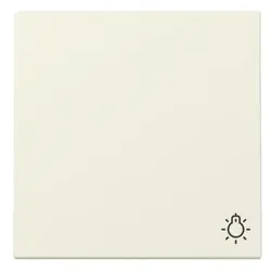 Gira Wippe Symb. Licht 328501