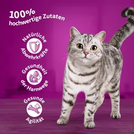 Whiskas 7+ Geflügel Auswahl in Gelee Multipack 12 x 85 Gramm Katzennassfutter