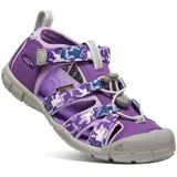 camo/tillandsia purple 39