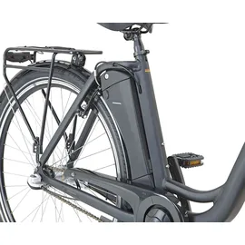 Prophete Geniesser 1.0 28 Zoll RH 49 cm Schwarz