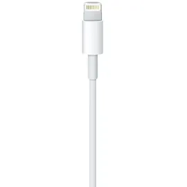 Apple Lightning auf USB Kabel 2m